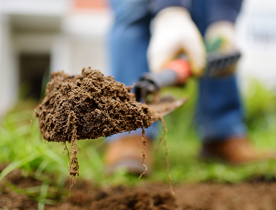 Shovel Scooping Dirt