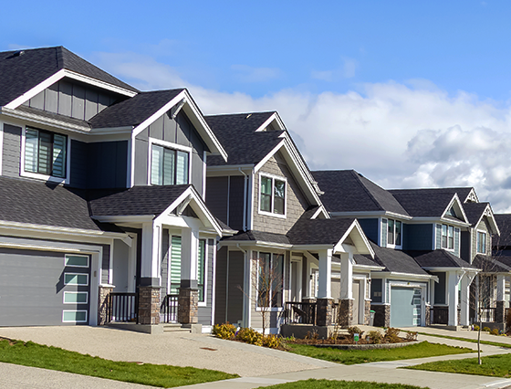 Suburban Houses Street View